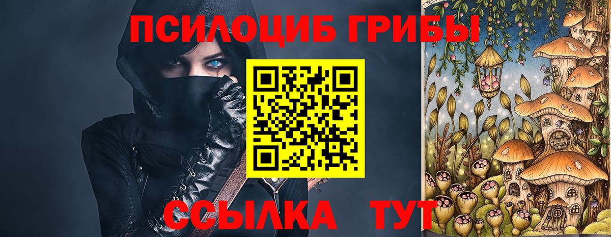 Псилоцибиновые грибы Psilocybine cubensis  Вход с VPN  Брянск 